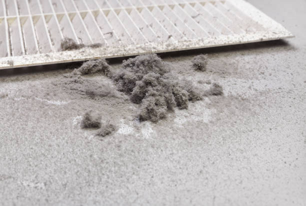 Best Commercial Air Duct Cleaning  in Kodi Station, AK