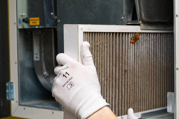 Air Duct Mold Removal in Kodiak Station, AK
