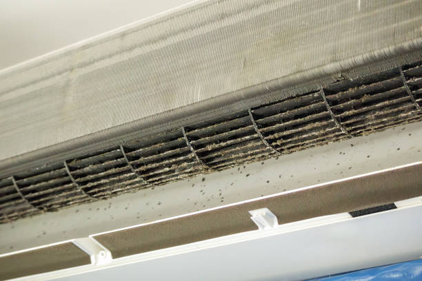  Kodi Station, AK Airduct Cleaning Pros